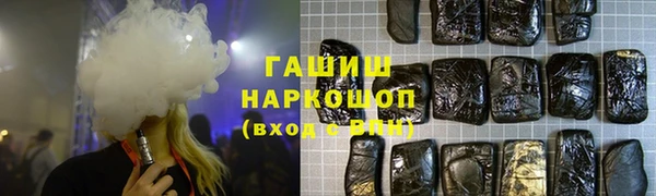 хмурый Гусь-Хрустальный