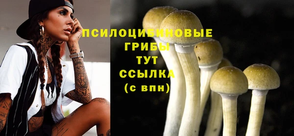 прущая мука Надым