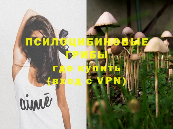 шишки Навашино
