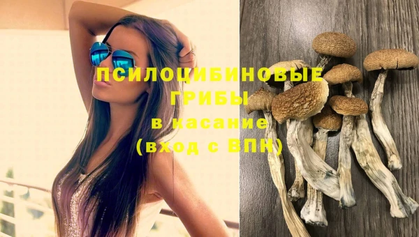шишки Навашино