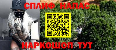 шишки Ирбит