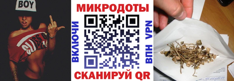 MEGA ТОР  Октябрьский  Псилоцибиновые грибы прущие грибы 